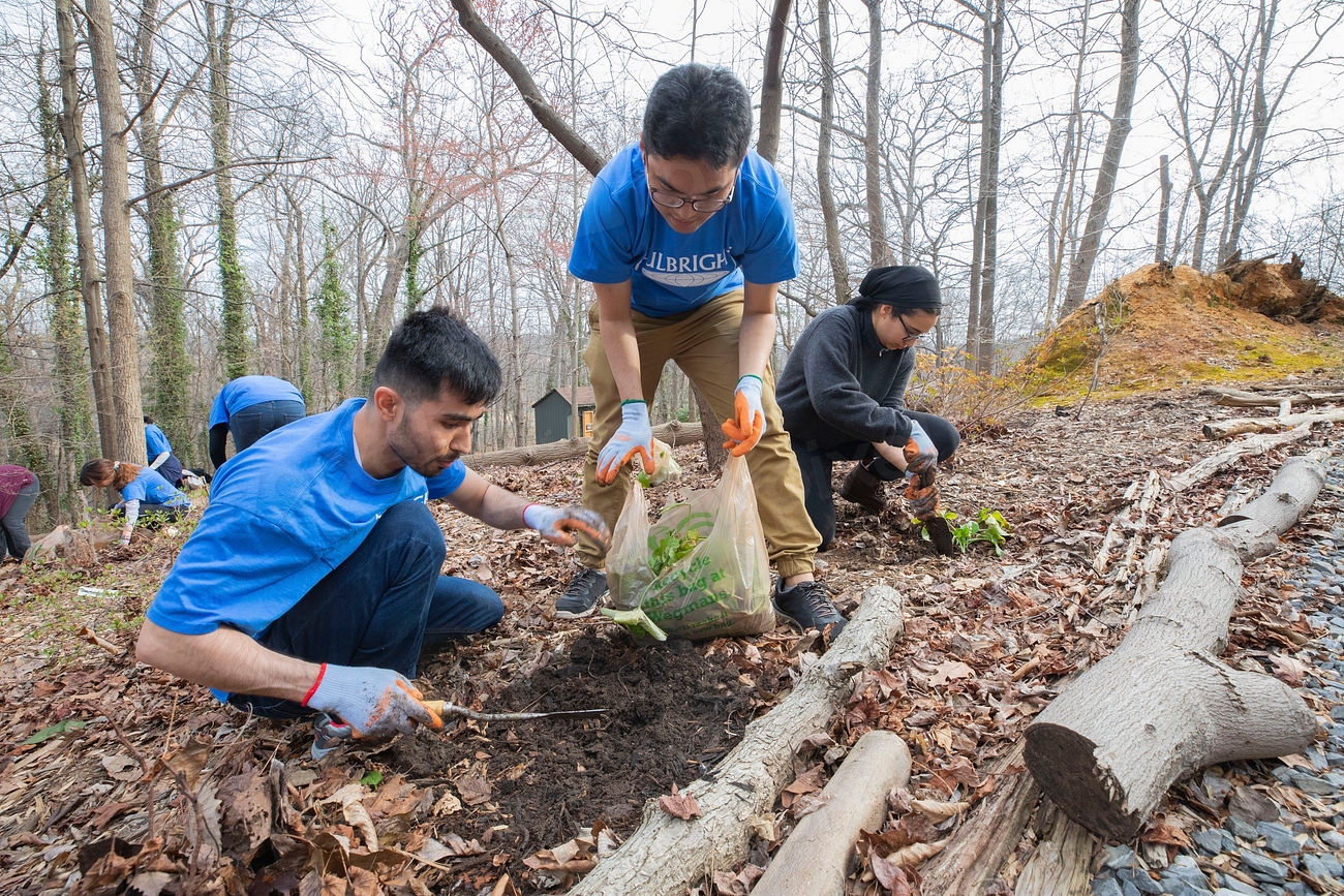 Community Action Programs: Power to the People (image credits: rawpixel)