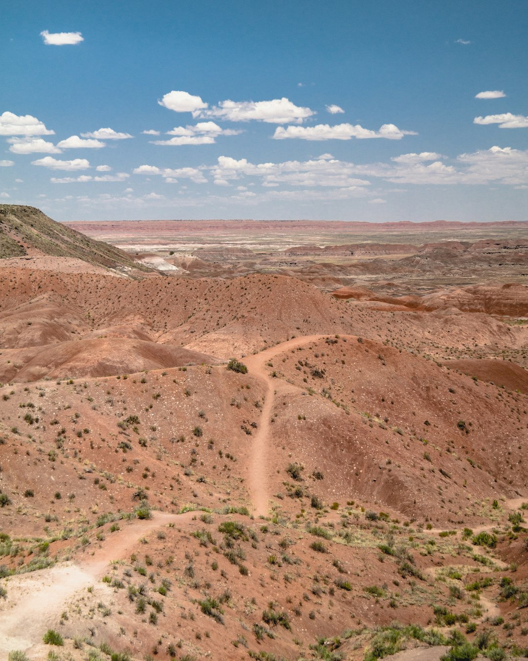 Arizona: Desert in Crisis (image credits: unsplash)