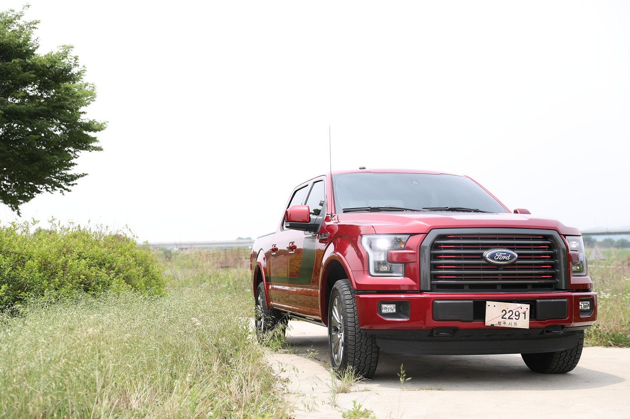 Ford F-150 Lightning (image credits: pixabay)