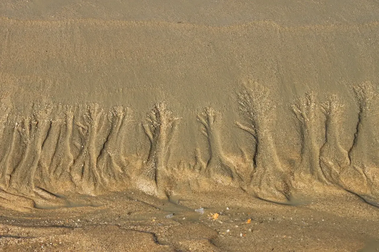 The Big Muddy Monster of Illinois (Image Credits: Pixabay)