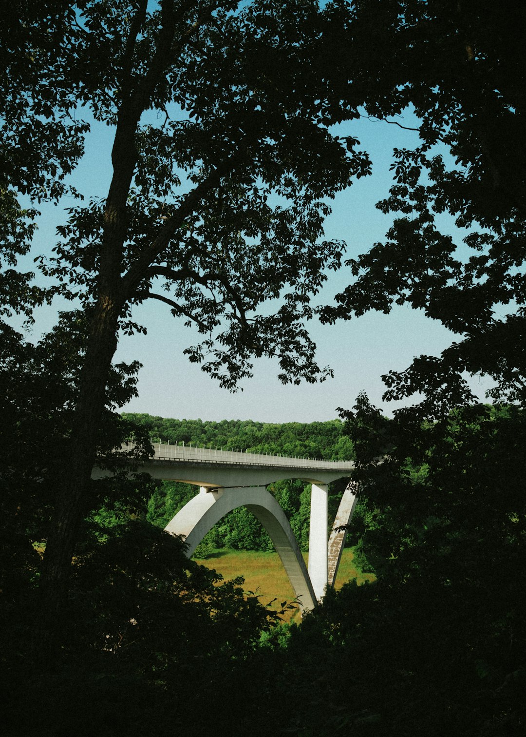 The Natchez Trace Parkway - Walking Through History's Footsteps (image credits: unsplash)
