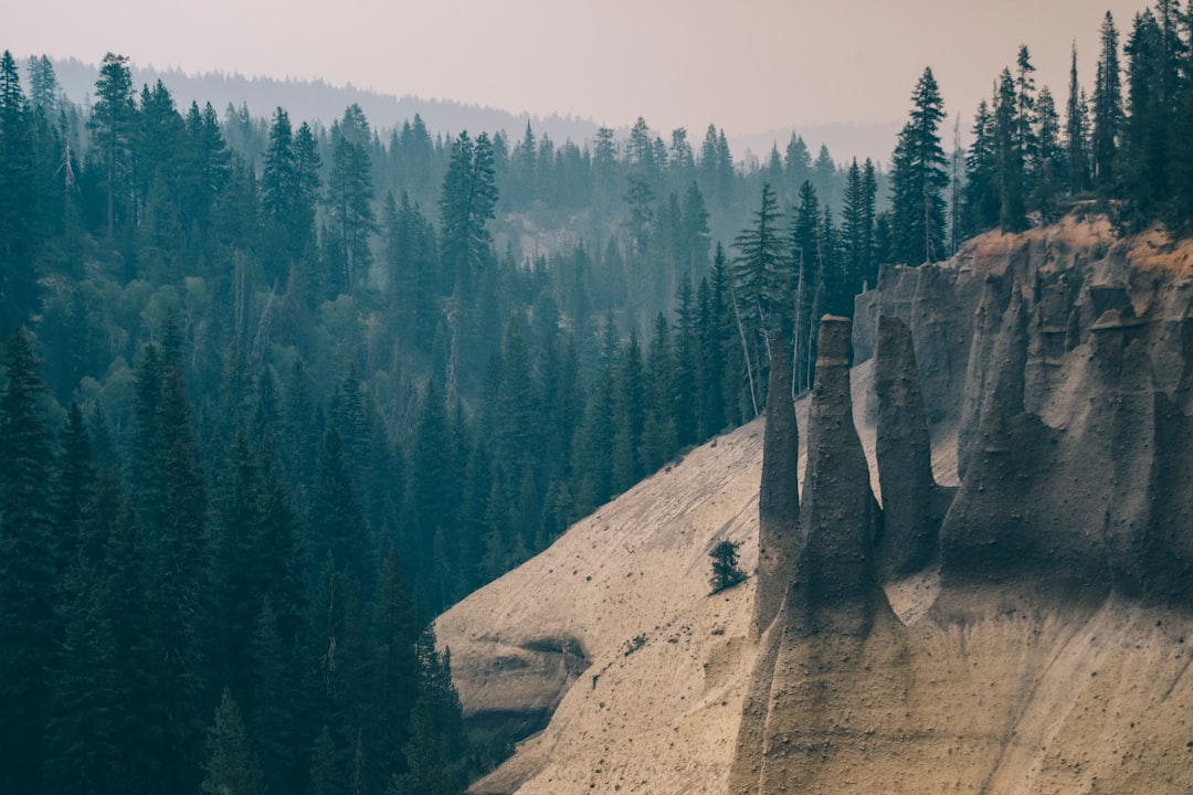 The Wildfire Reckoning (image credits: unsplash)