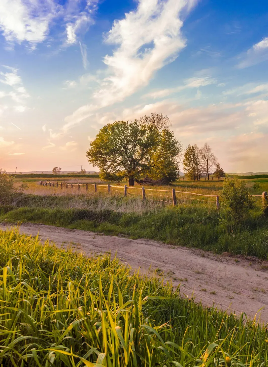 Rural America Is Having a Moment (Image Credits: Unsplash)