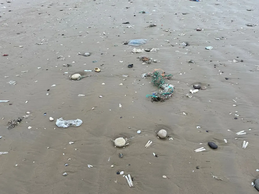 What's Actually in the Water: The Toxic Cargo Microplastics Carry (Image Credits: Unsplash)