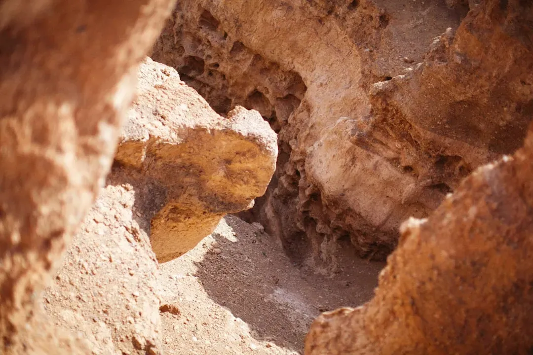 Dating Methods Unlock the Timeline (Image Credits: Unsplash)