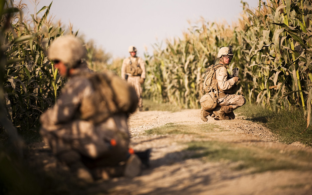 Marines Conduct First Civilian Detention (image credits: flickr)