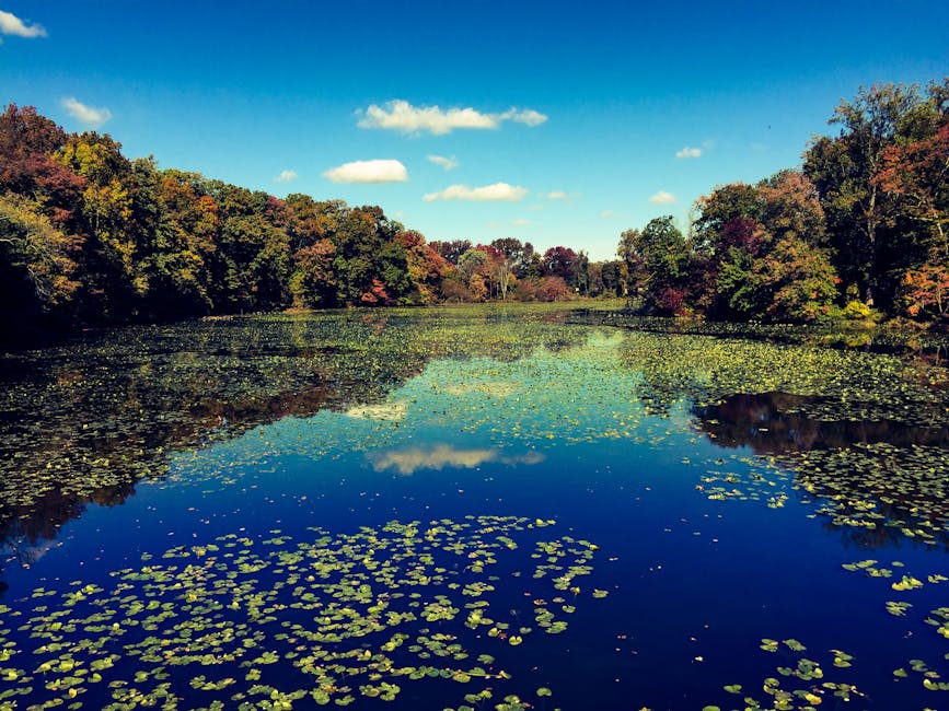Nature and Wildlife: The Hidden Wonders