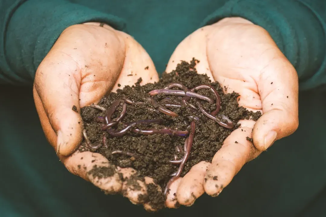 Pisces: Worm Composting for the Dreamy Empath (Image Credits: Unsplash)