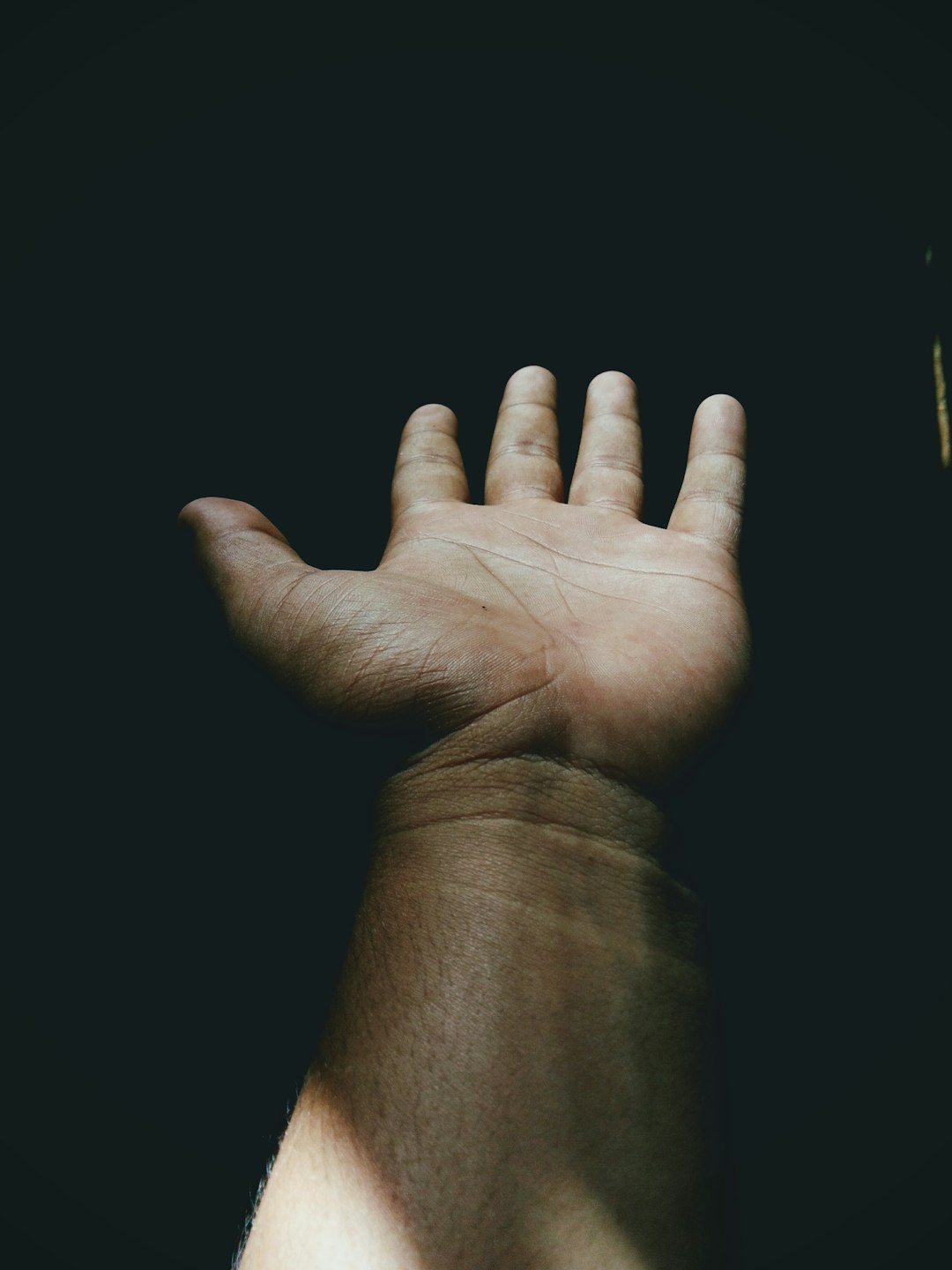 Cut Off Your Hand If It Causes You to Sin (image credits: unsplash)