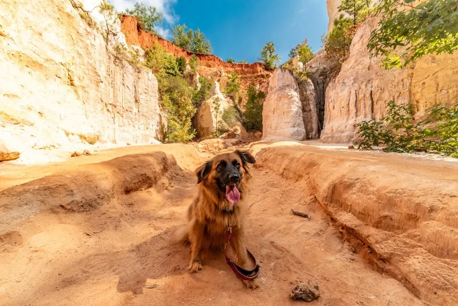 Practical Visiting Tips (Image Credits: Pexels)