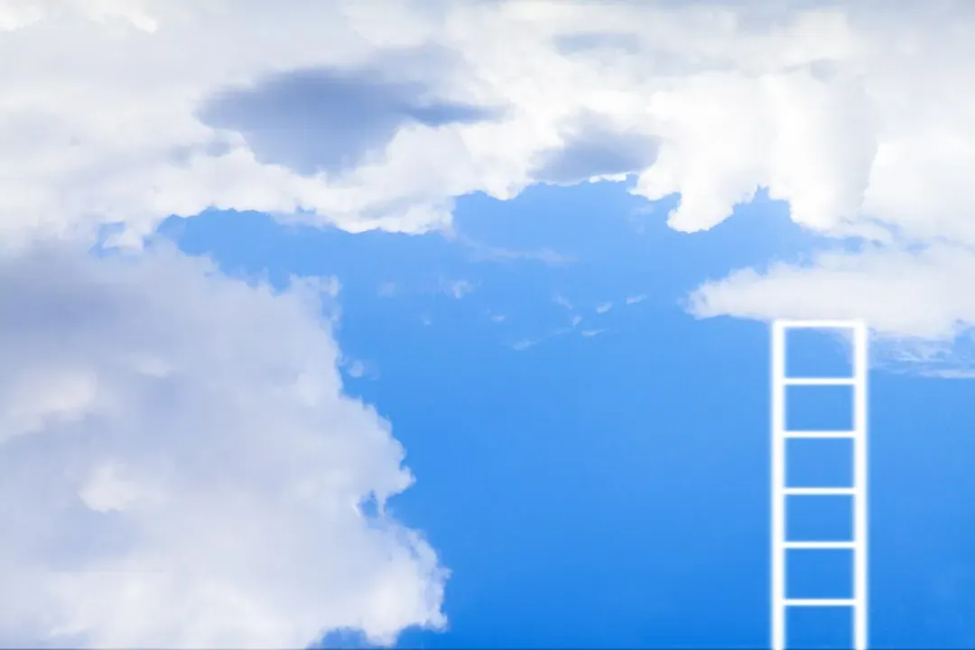 Ambition as the Common Thread (Image Credits: Unsplash)