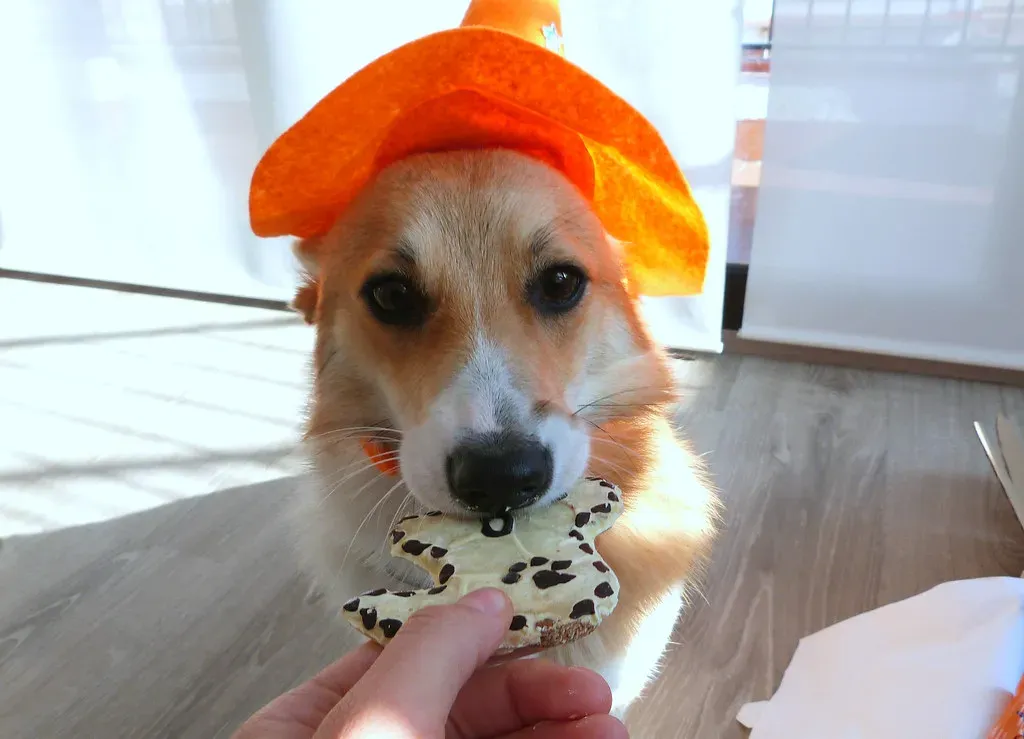 Subscription Services Add Convenience but Also Recurring Cost (Image Credits: Flickr)