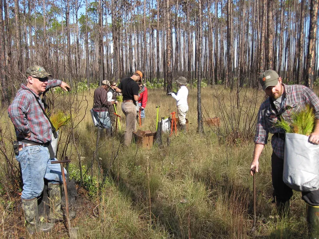 3. Montana (Image Credits: Flickr)