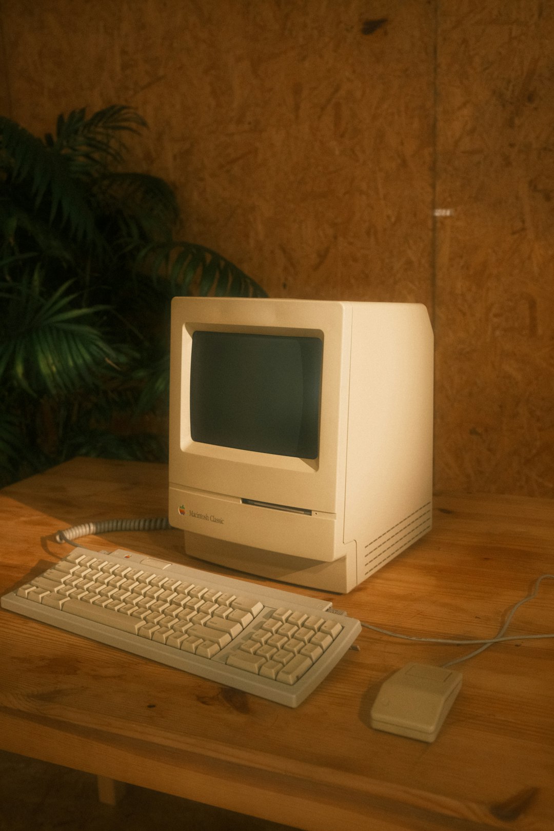 The Personal Computer Revolution Begins (image credits: unsplash)