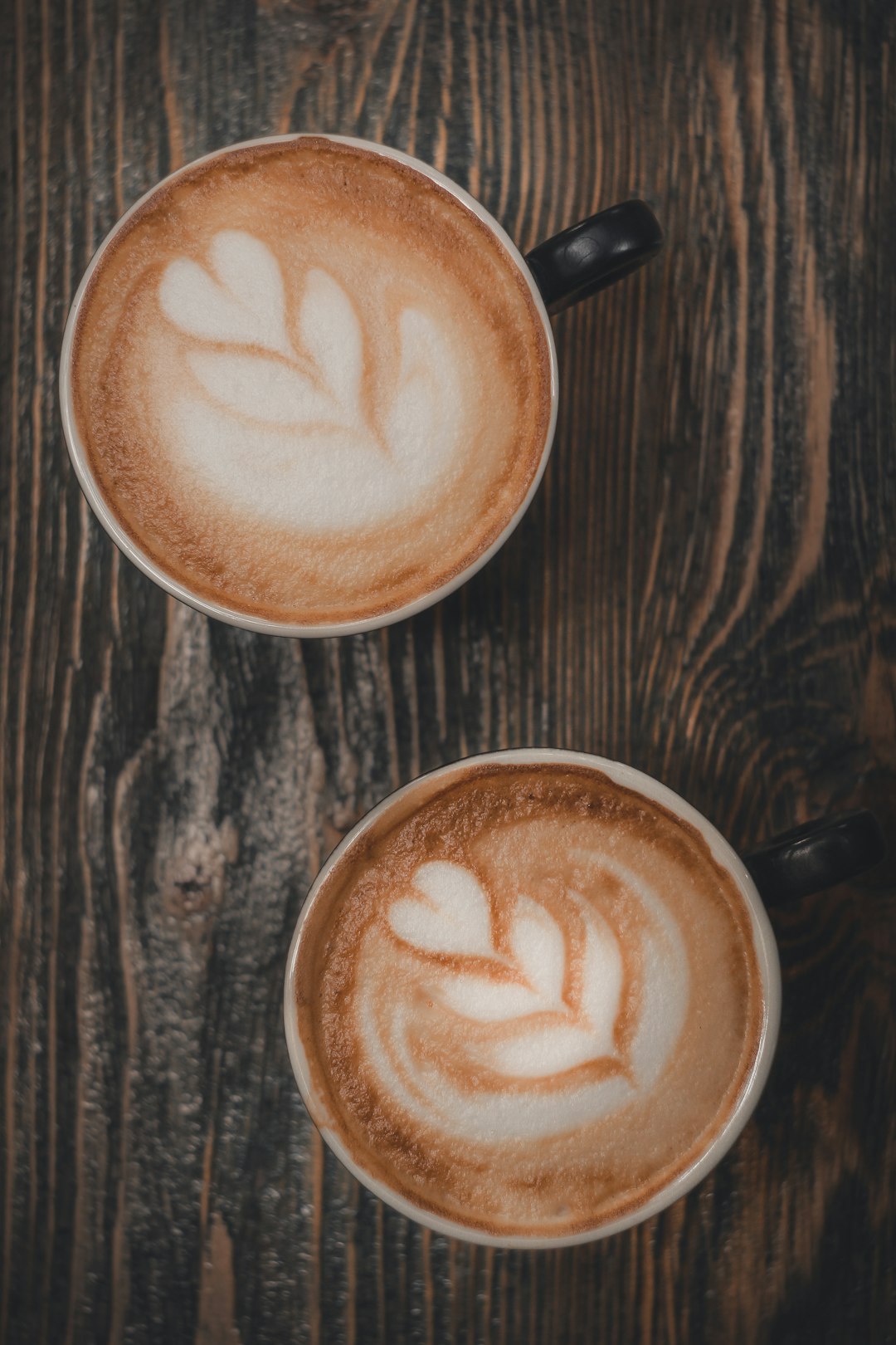 The Coffee Conspiracy You Never Suspected (image credits: unsplash)