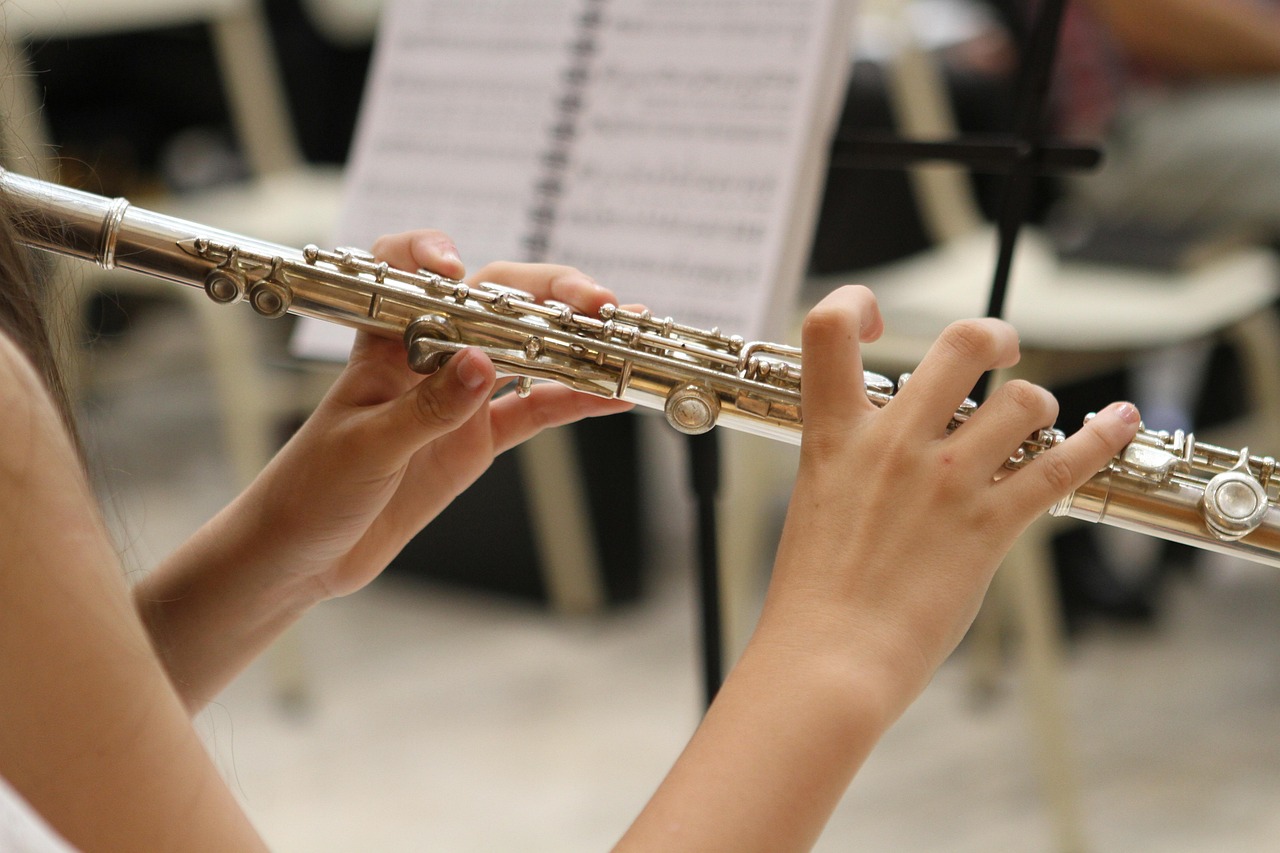 Jazz Music Revolutionizes American Sound (image credits: pixabay)