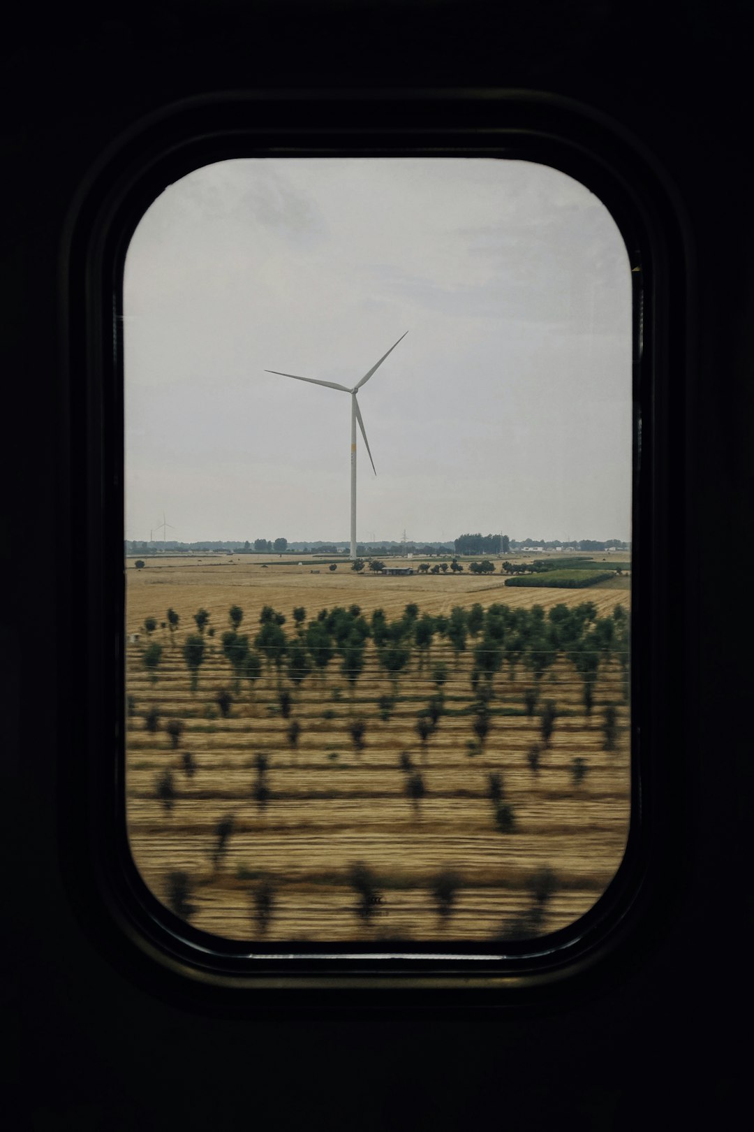 California's National Leadership in Clean Energy Employment (image credits: unsplash)