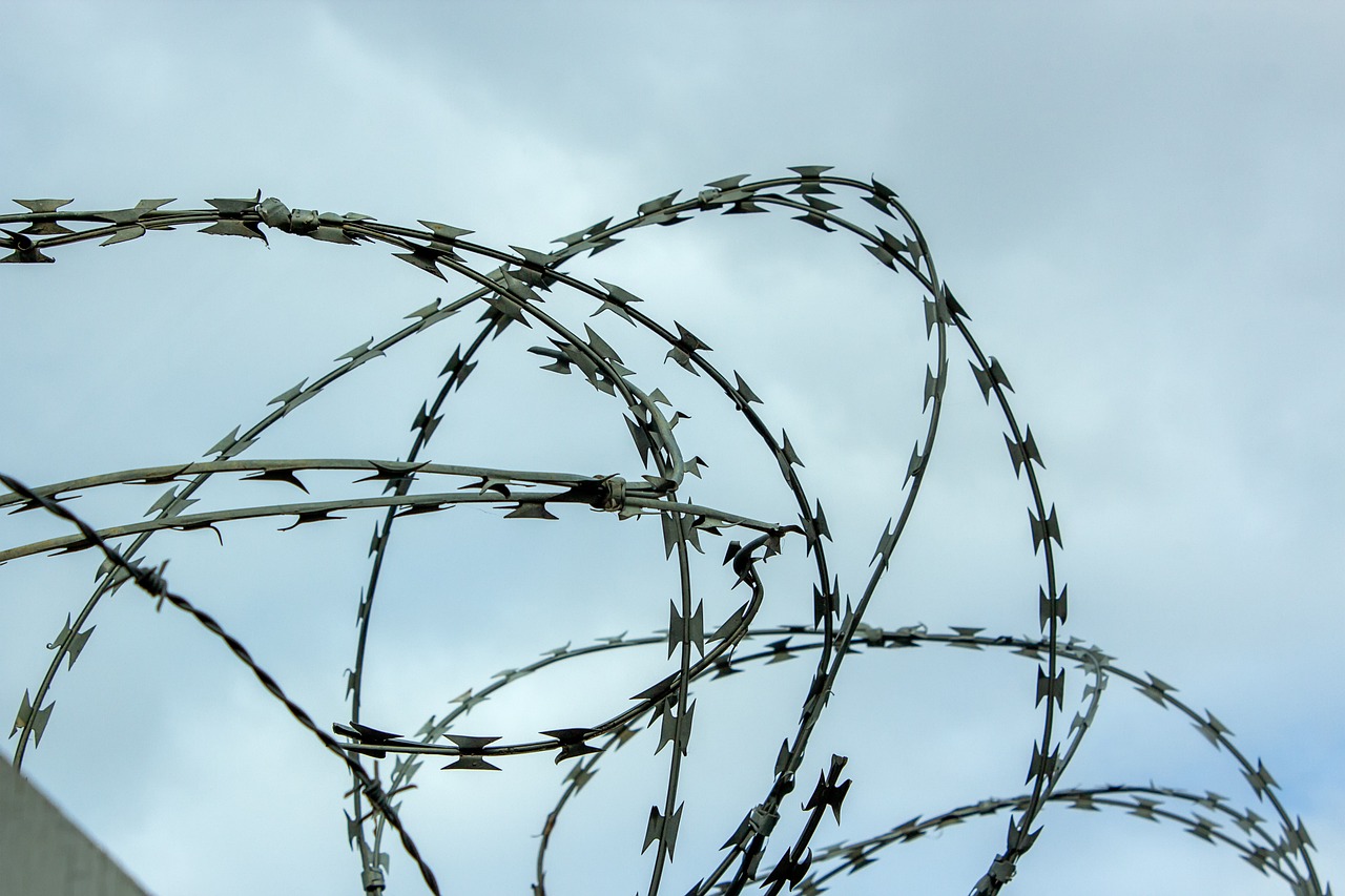 Security Concerns and Border Control (image credits: pixabay)