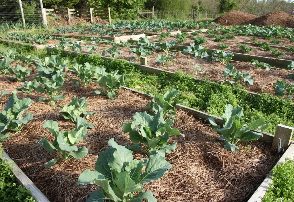 Building Resilience in a Changing Climate (Image Credits: Rawpixel)