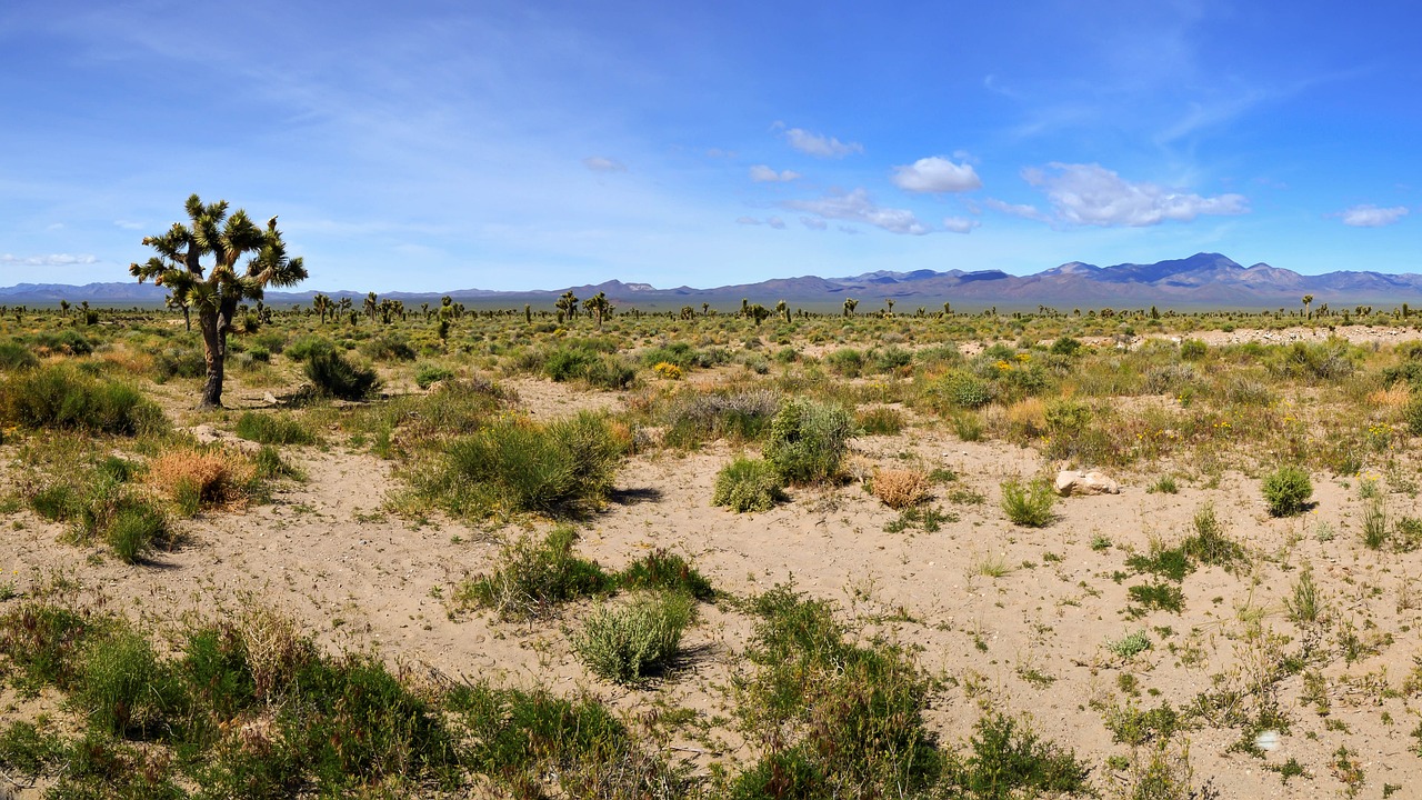 Economic Implications: The Cost of Soaring Temperatures (image credits: pixabay)