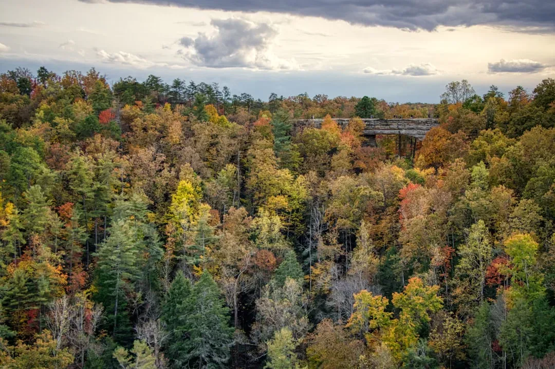 Appalachian Geology Breeds High Radon Potential (Image Credits: Unsplash)