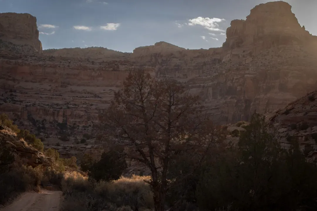 The Canyon Loop Trail Essentials (Image Credits: Unsplash)