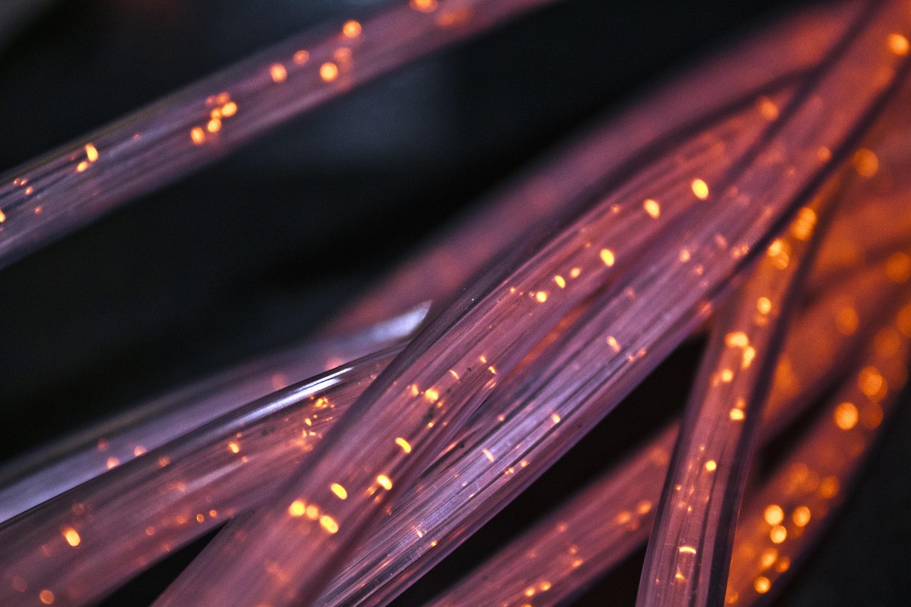 Digital Infrastructure Connects Rural Dreams to Global Markets (image credits: pixabay)