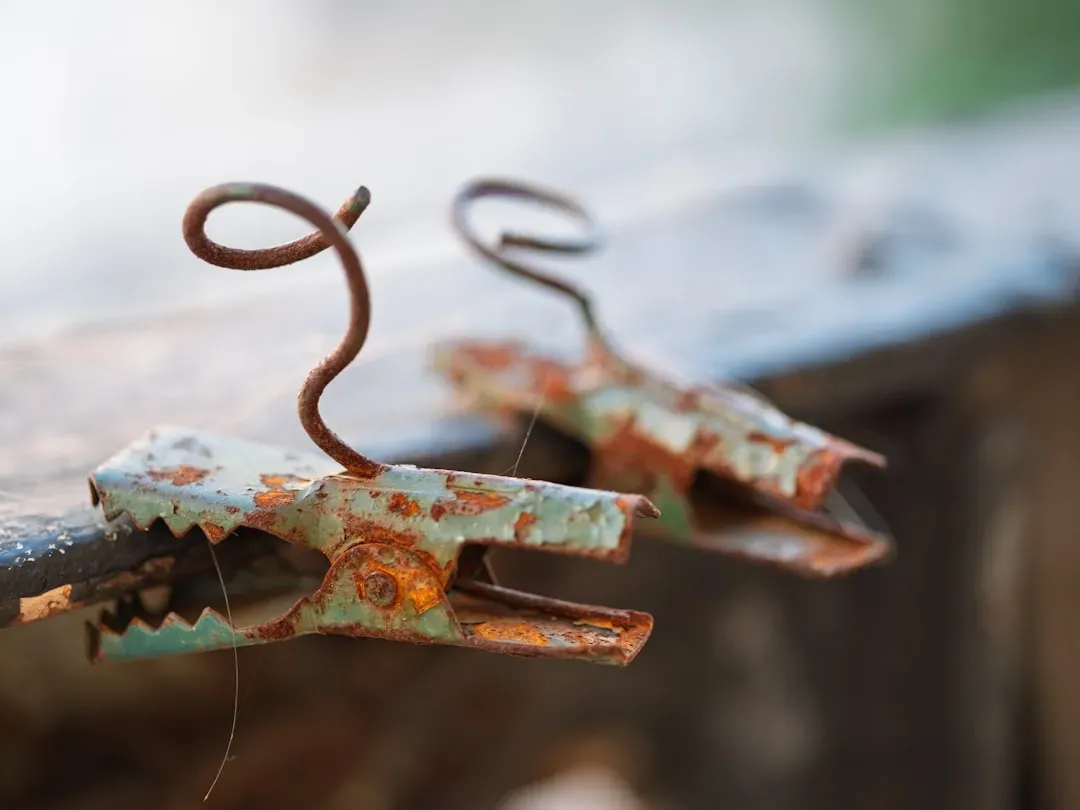 Artifacts Echoing Everyday Life (Image Credits: Unsplash)