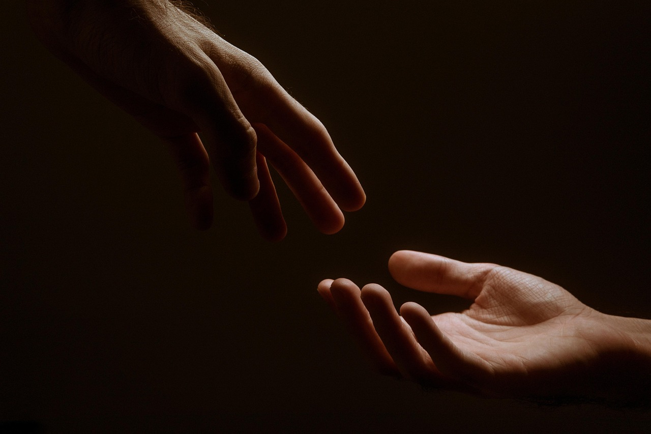 Practice Radical Compassion (image credits: pixabay)