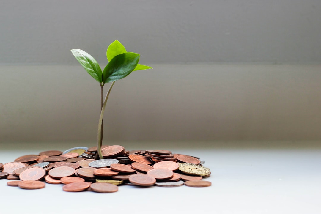 Long-term Sustainability and Funding Sources (image credits: unsplash)