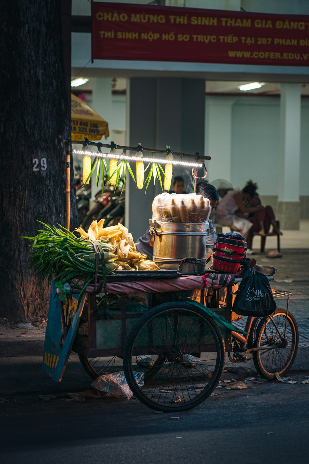 Vietnam: Where Your Dollar Becomes King (image credits: unsplash)