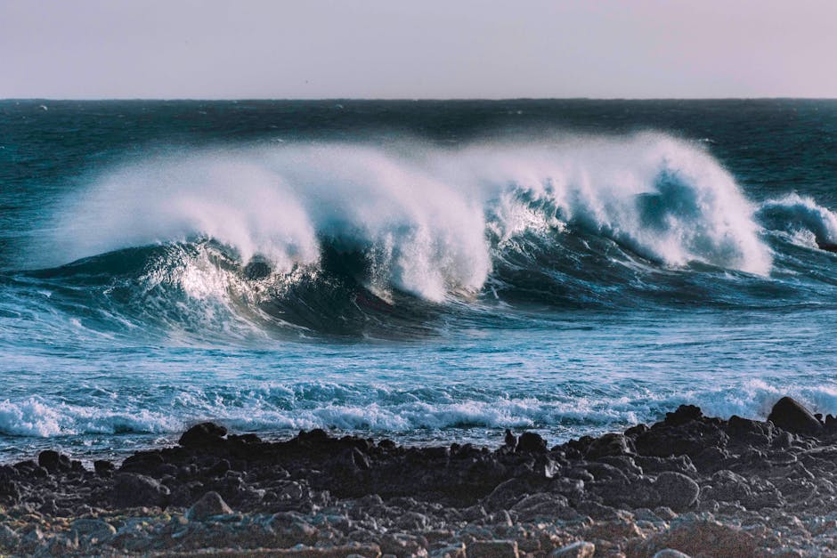 The Environmental Impact (image credits: pexels)