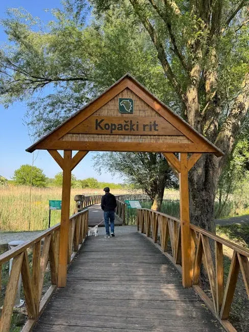 Reservation Systems: The Double-Edged Sword (Image Credits: Pexels)