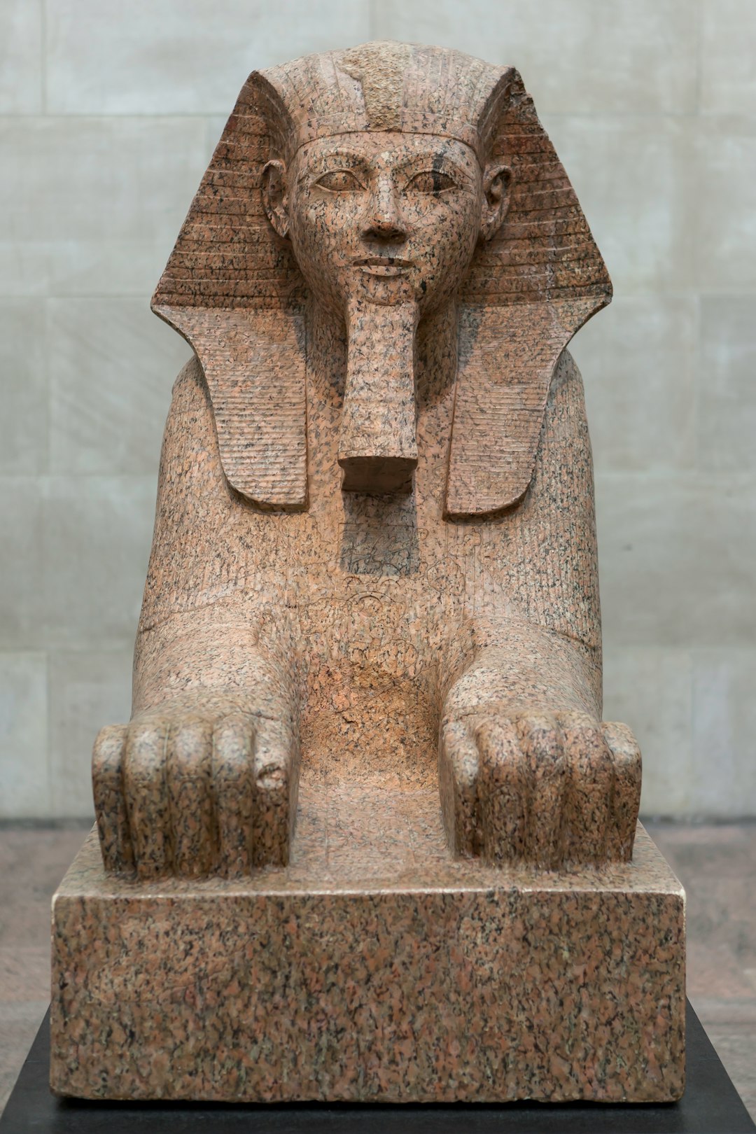 Bastet's Children Experience Turbulent Waters (image credits: unsplash)