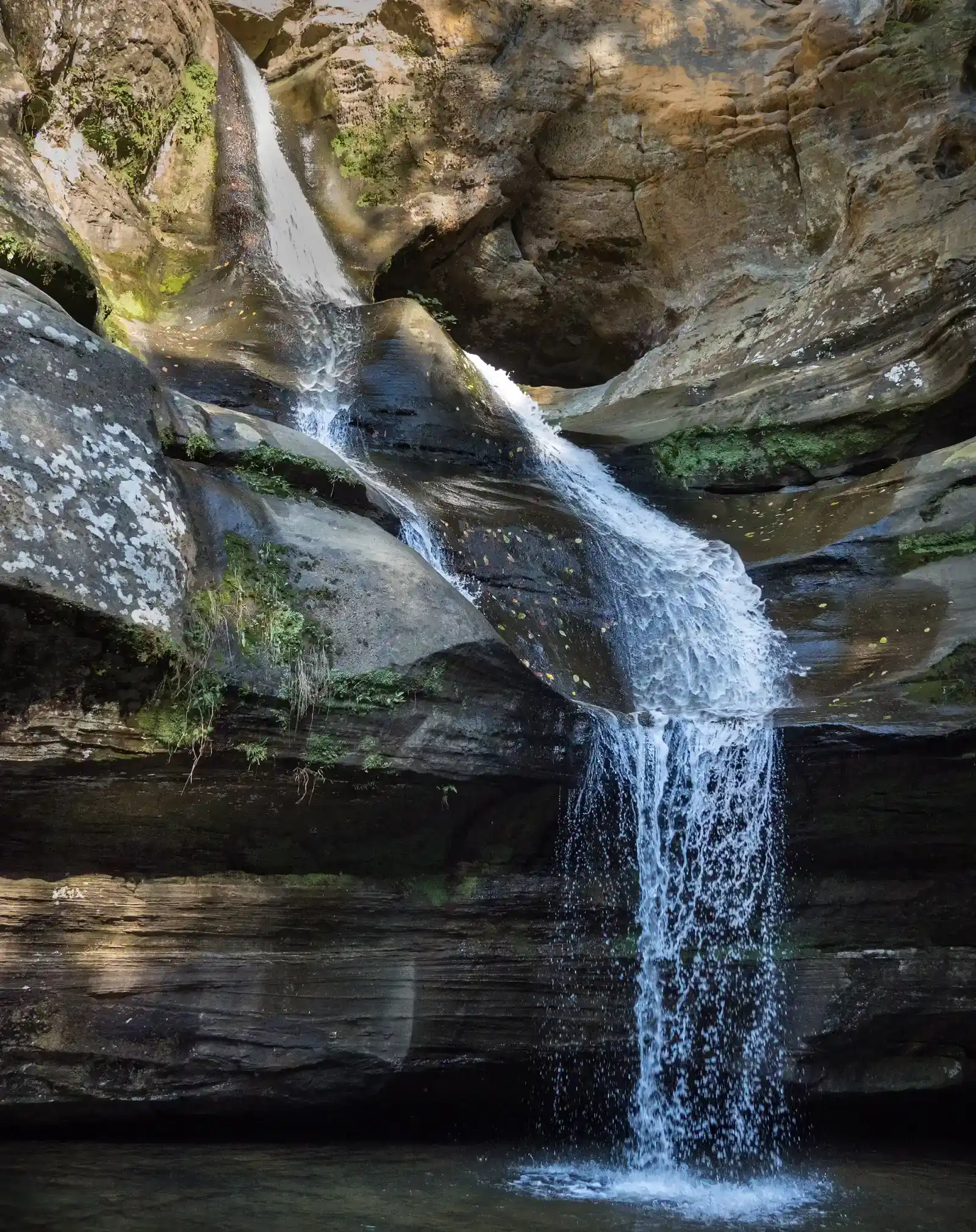 Hocking Hills State Park, Ohio (By Rhododendrites, CC BY-SA 4.0)