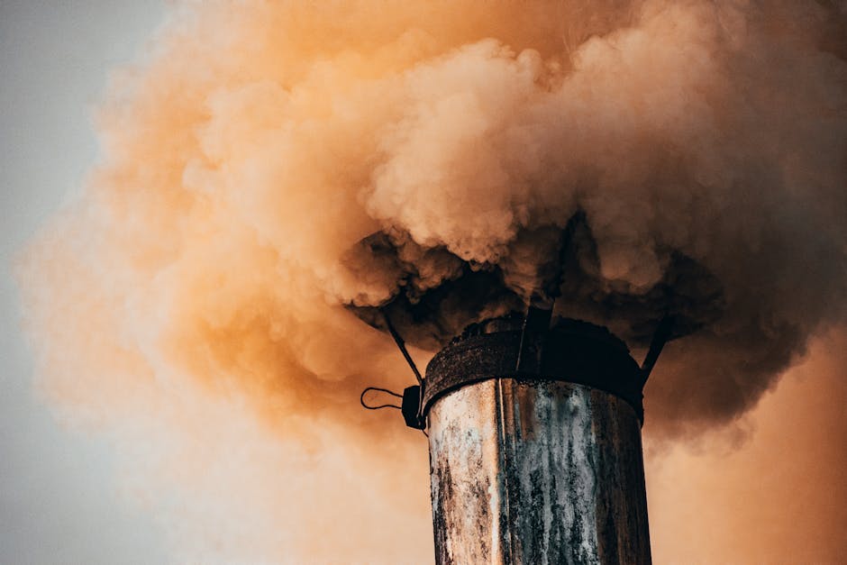 The Industrial Legacy (image credits: pexels)