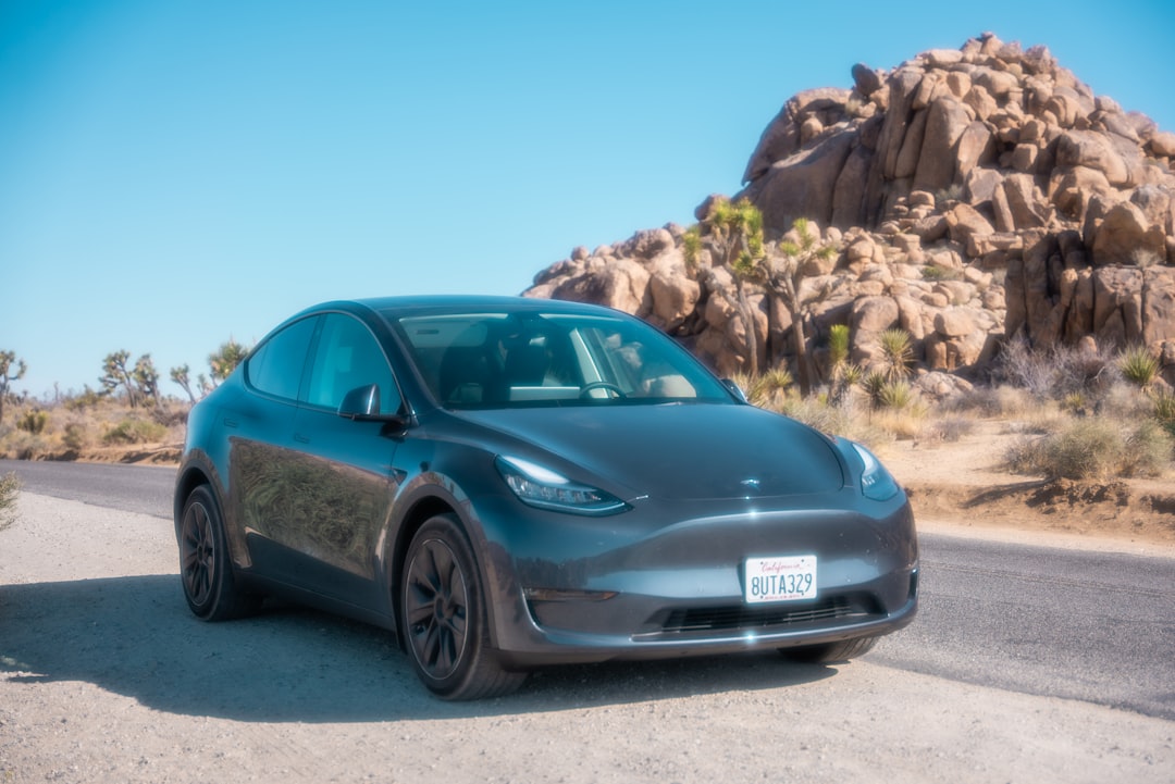 Tesla Model Y (image credits: unsplash)