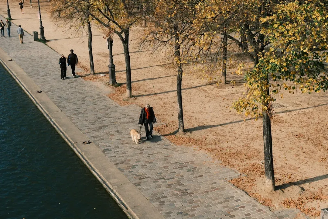 Igniting Daily Physical Activity (Image Credits: Unsplash)