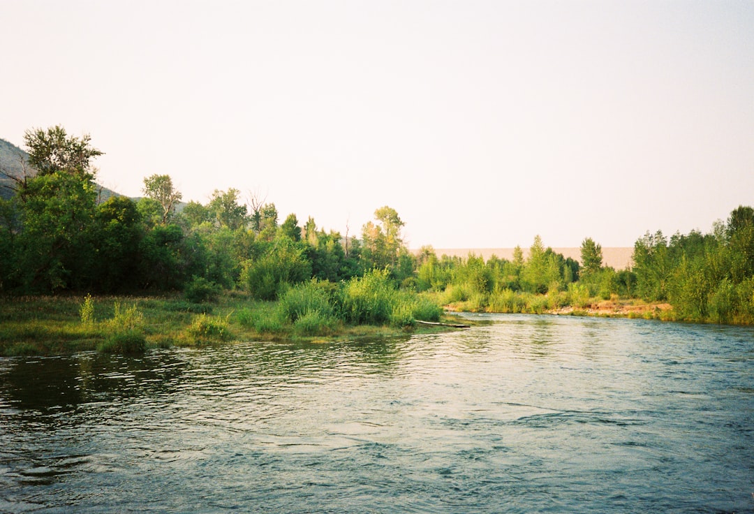 Humptulips: The Hardest River to Navigate (image credits: unsplash)