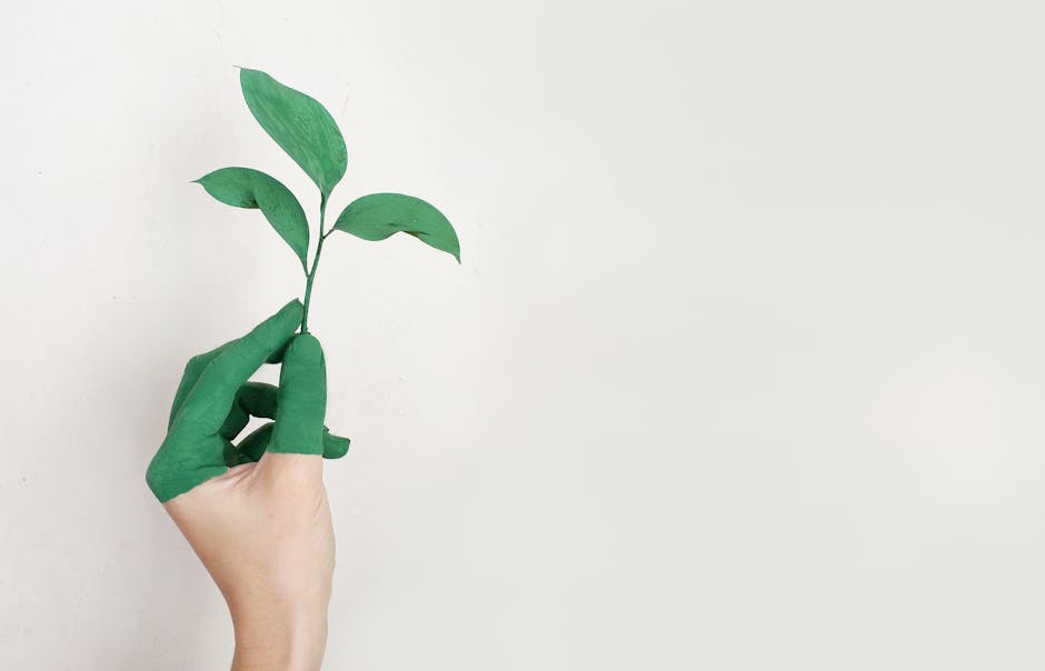 Looking Towards a Sustainable Future (image credits: pexels)