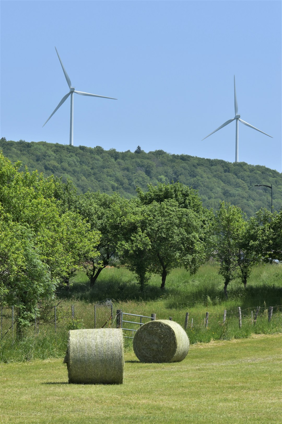 The Manufacturing Boom Follows Renewable Growth (image credits: unsplash)