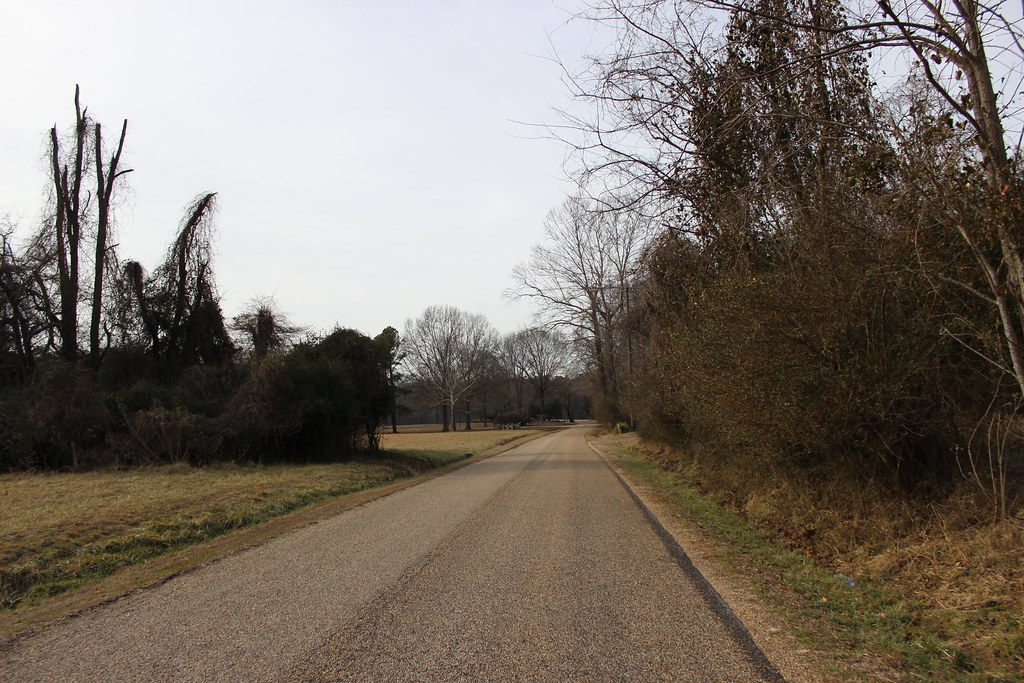 Secret Supply Routes Through Your Neighborhood (image credits: flickr)