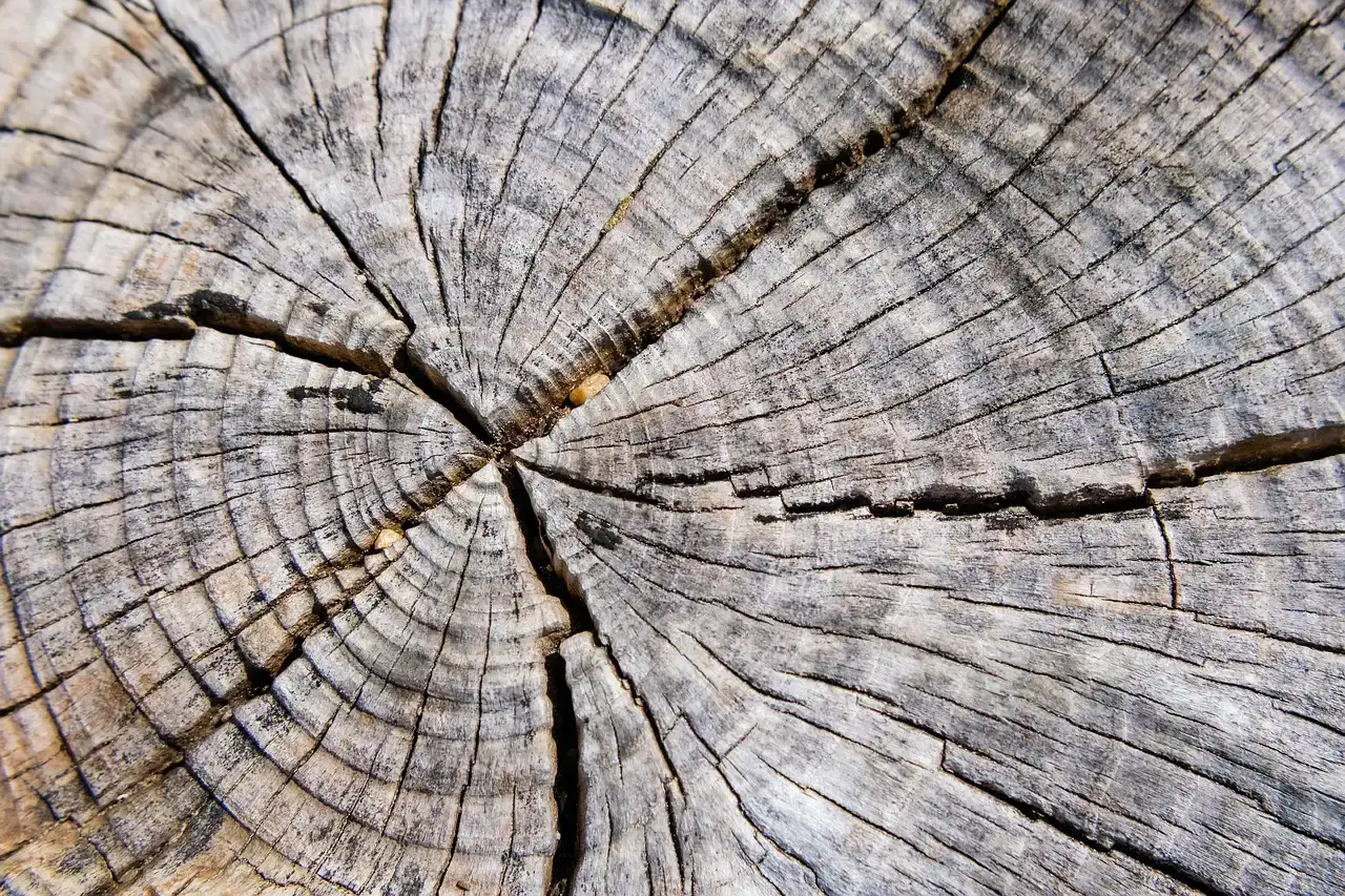 Confirming the West's Megadrought (Image Credits: Pixabay)