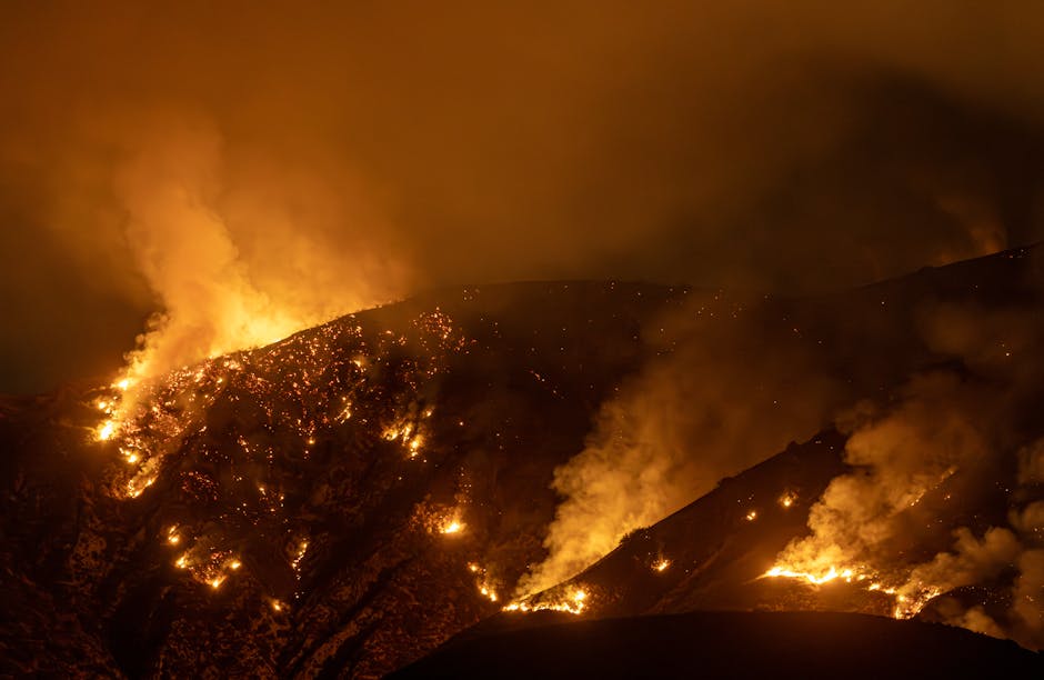 Understanding the Escalation of Wildfires (image credits: pexels)