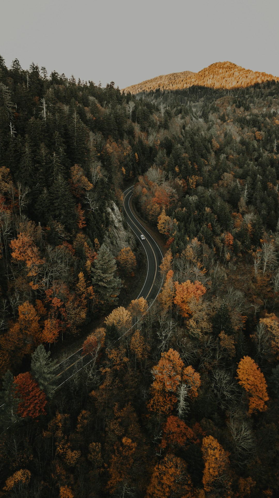 The Blue Ridge Parkway - A Spiritual Awakening Through Nature (image credits: unsplash)