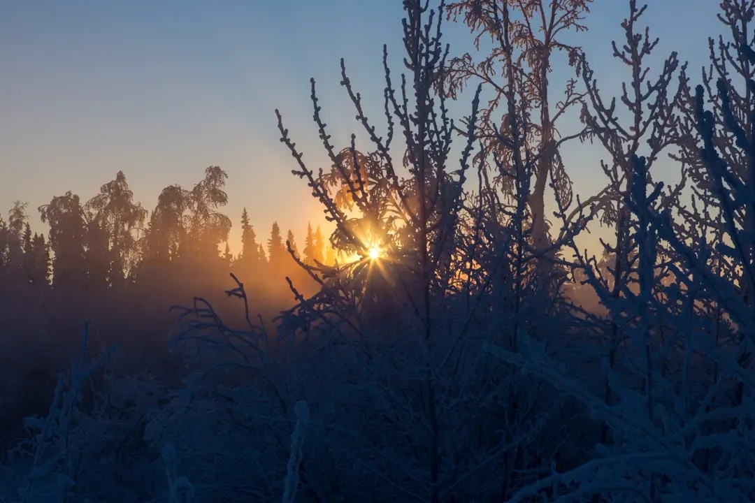 The Science of Why Cold Snaps Are Getting Stranger (Image Credits: Unsplash)