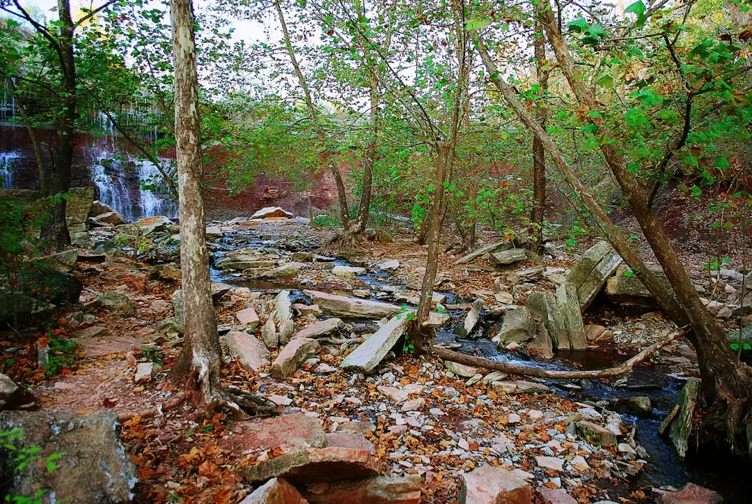 Hazards That Won't Quit (Image Credits: Unsplash)