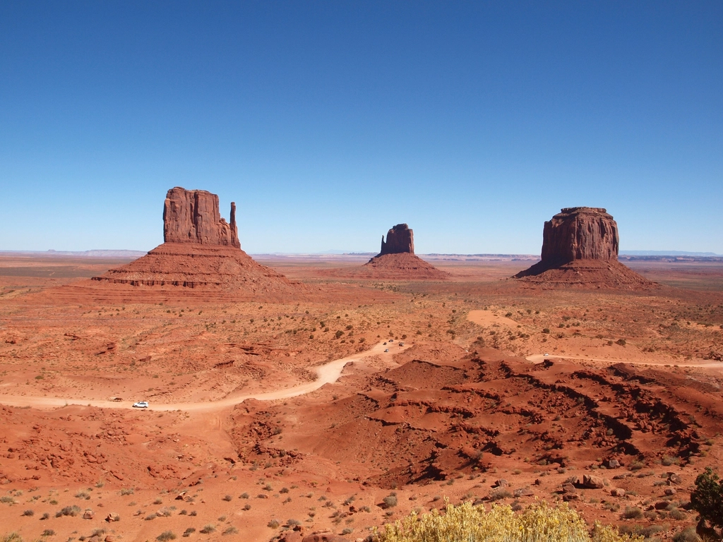 Federal Partnerships and State Pushback (image credits: rawpixel)