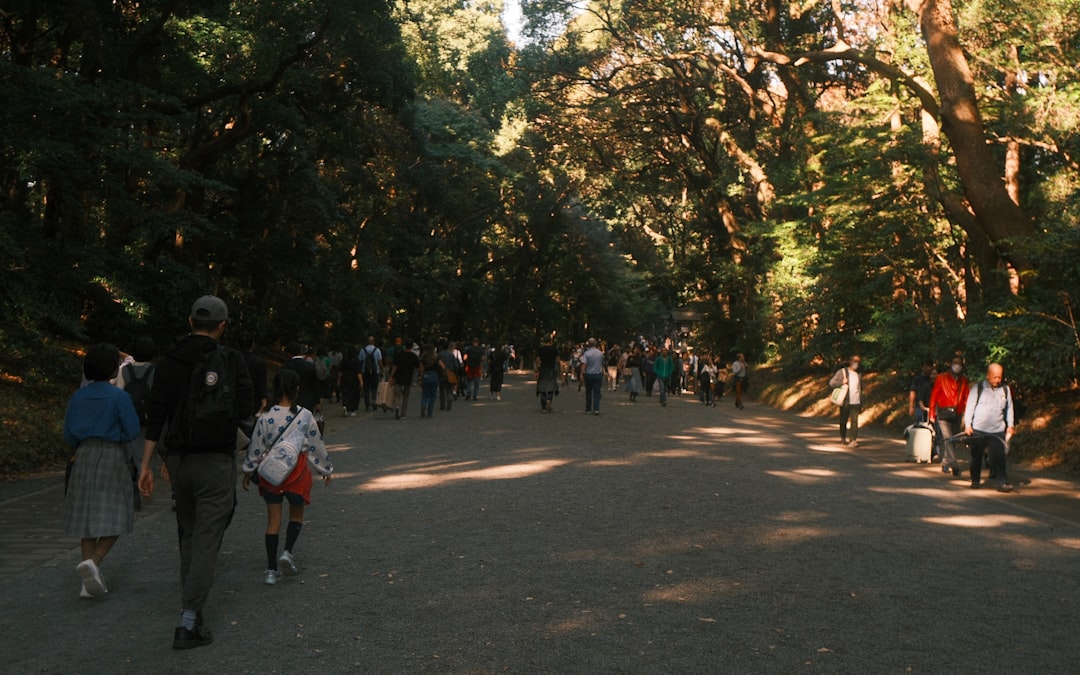 Overwhelming Visitor Numbers Breaking All Records (image credits: unsplash)