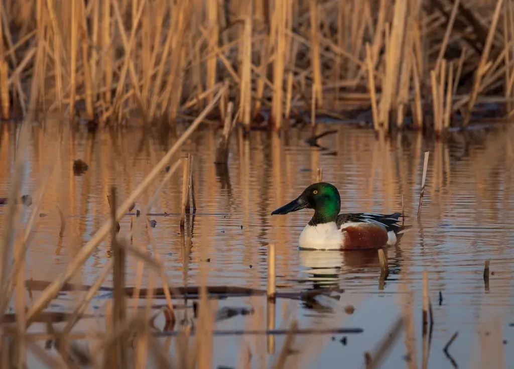 The Bigger Picture: Victories Within a Long-Term Crisis (Image Credits: Rawpixel)